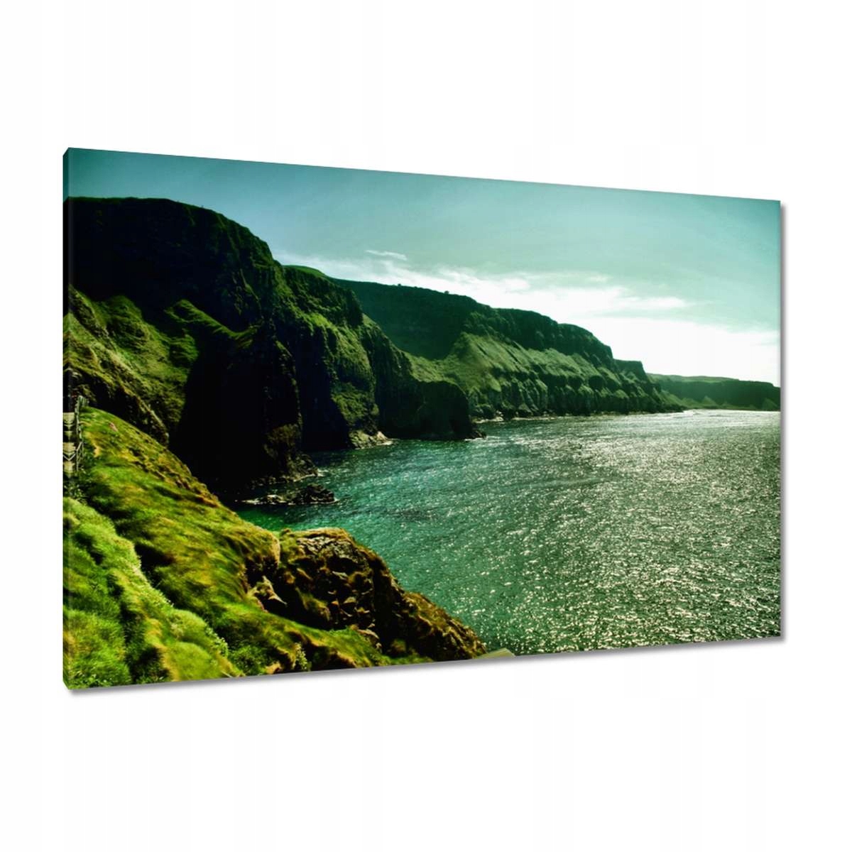 Obrazy 120x80 Carrick a Rede