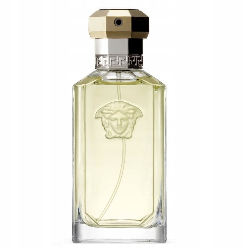 Versace The Dreamer toaletní voda sprej 100 ml