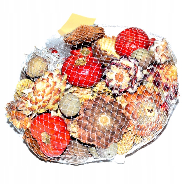 

Susz egzotyczny siatka 500g mix ozdób Stroik