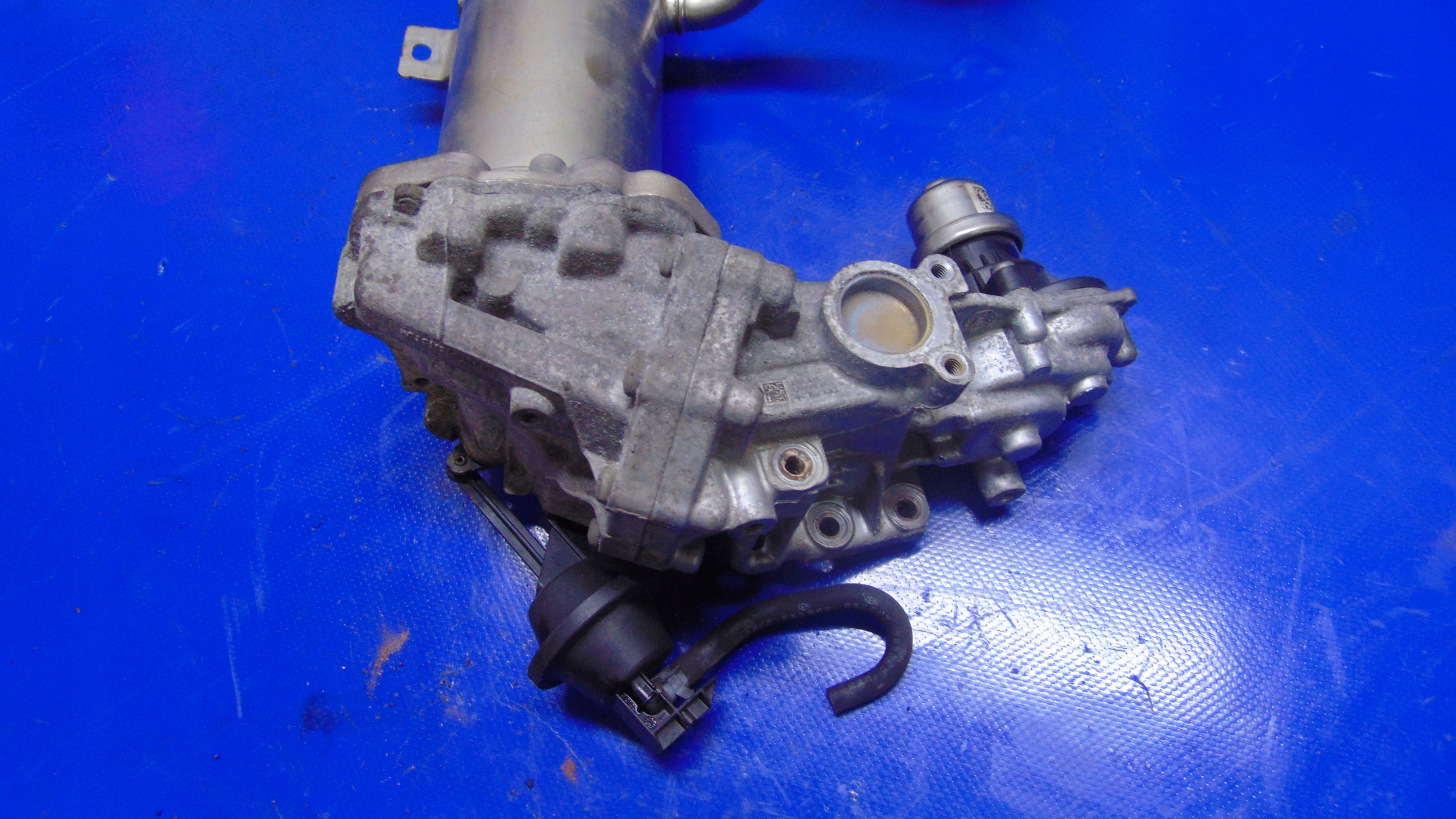 Abgaskuehler AGR AGR-Ventil 2.0ECOBLUE FORD TRANSIT MK8 12-24 ROK