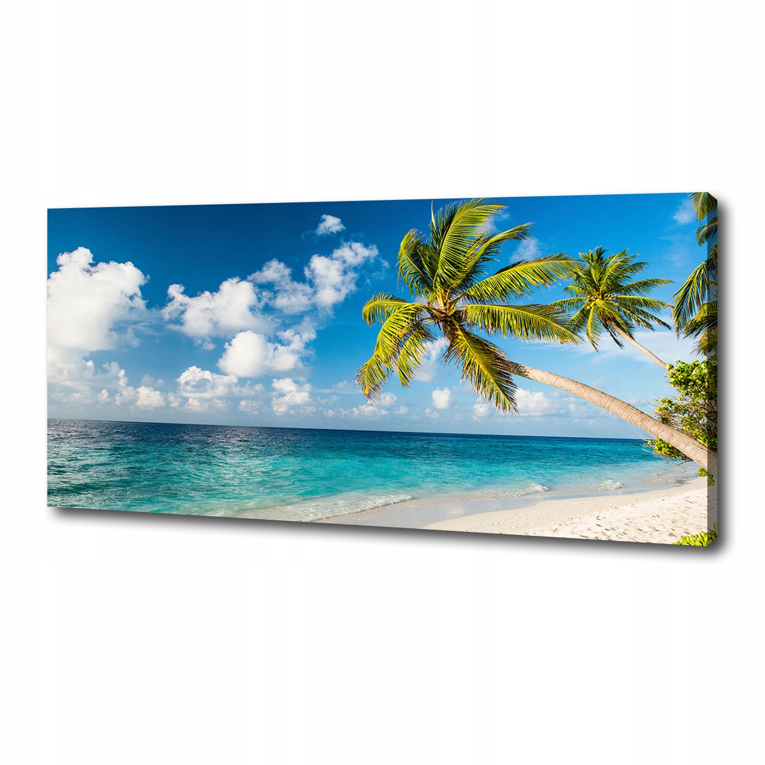 

Foto obraz na płótnie Malediwy plaża 125x50 cm