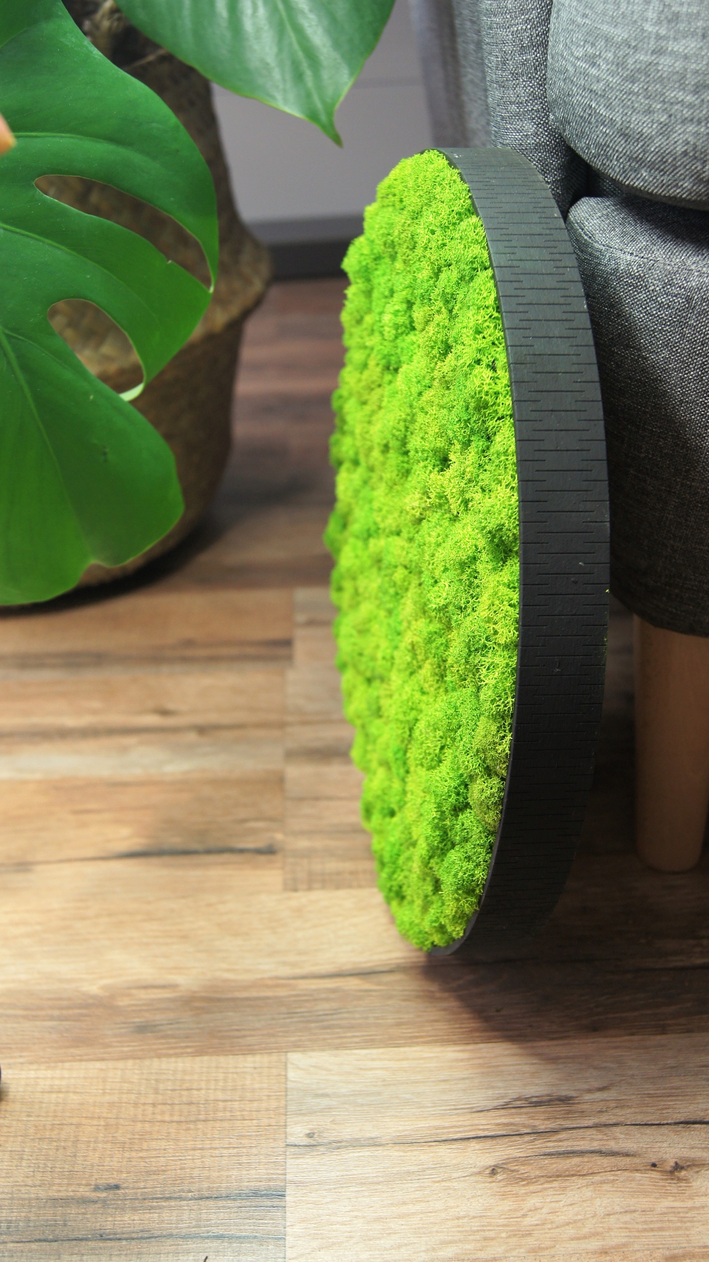 Obraz okrąg koło mech chrobotek średnica 40 cm Marka inna