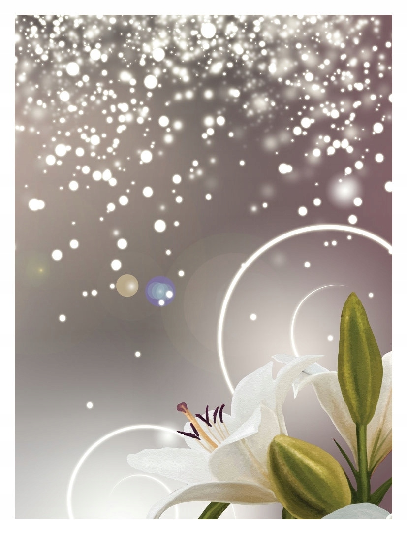 Vliesová fototapeta Lilie lesk elegance do domu 206x275 lepidlo