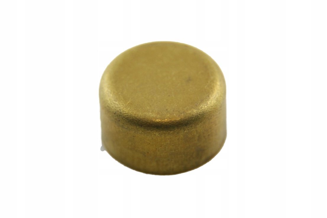 ZAŚLEPKA KOREK BLOKU 13.5MM 13.5 MM