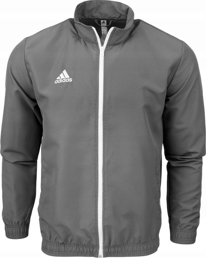 Pánská Mikina Adidas Entrada 22 Sportovní Šedá velikost S