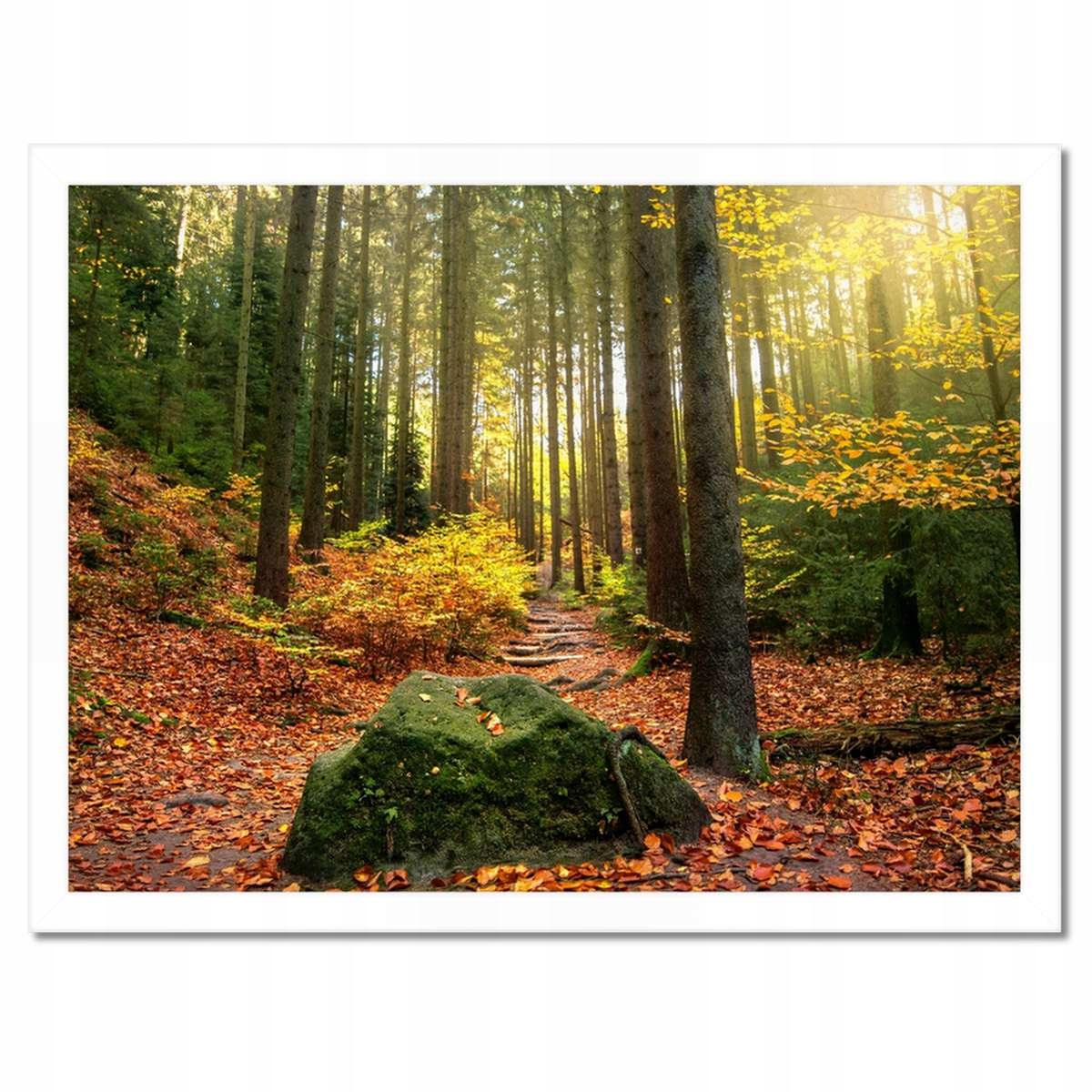 Plakáty v rámu 40x30 Krajina