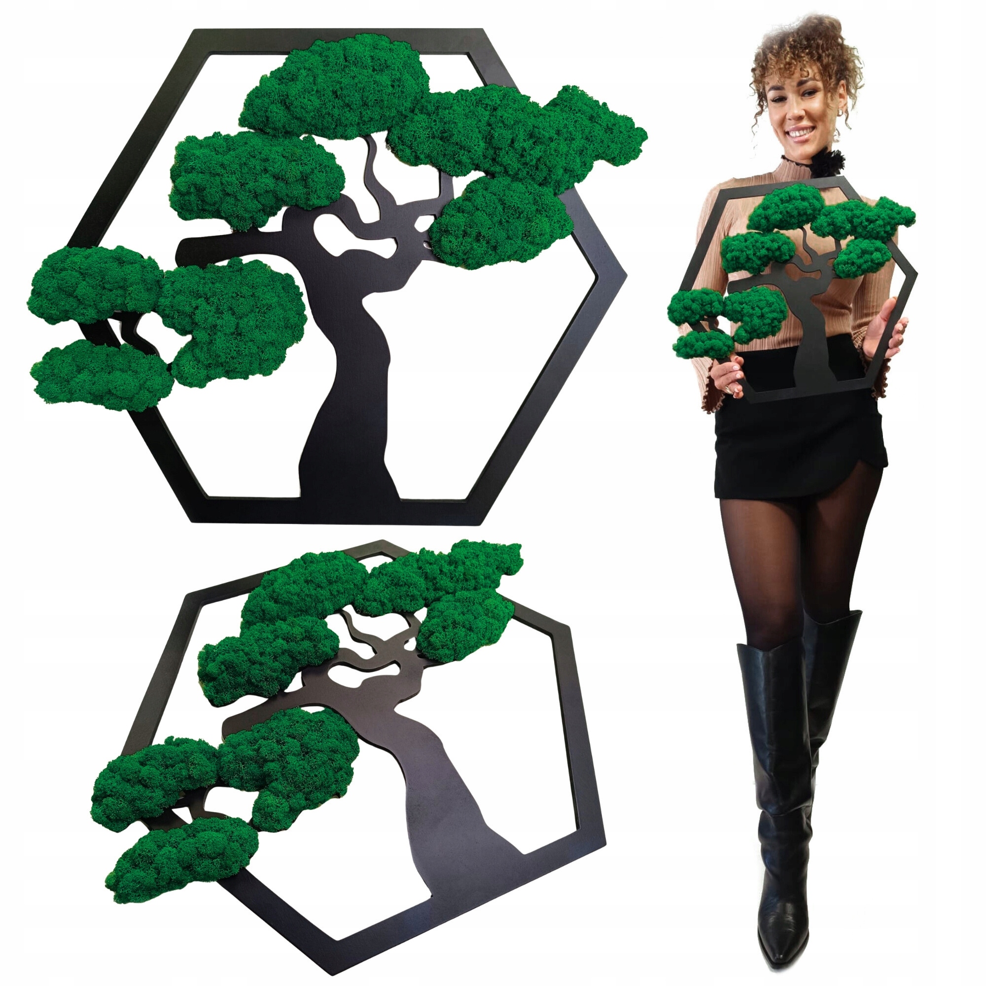 Obraz Severský Lišajník Strom Bonsai Obraz Z Machu Stromček Na Darček 50x41 cm