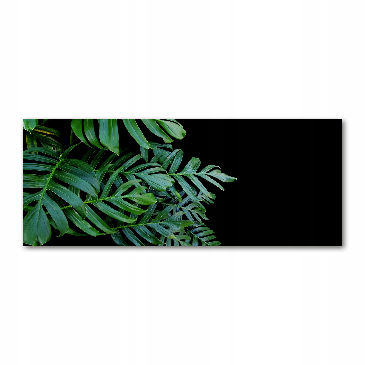 

Foto obraz akrylowy nowoczesny Monstera 125x50 cm