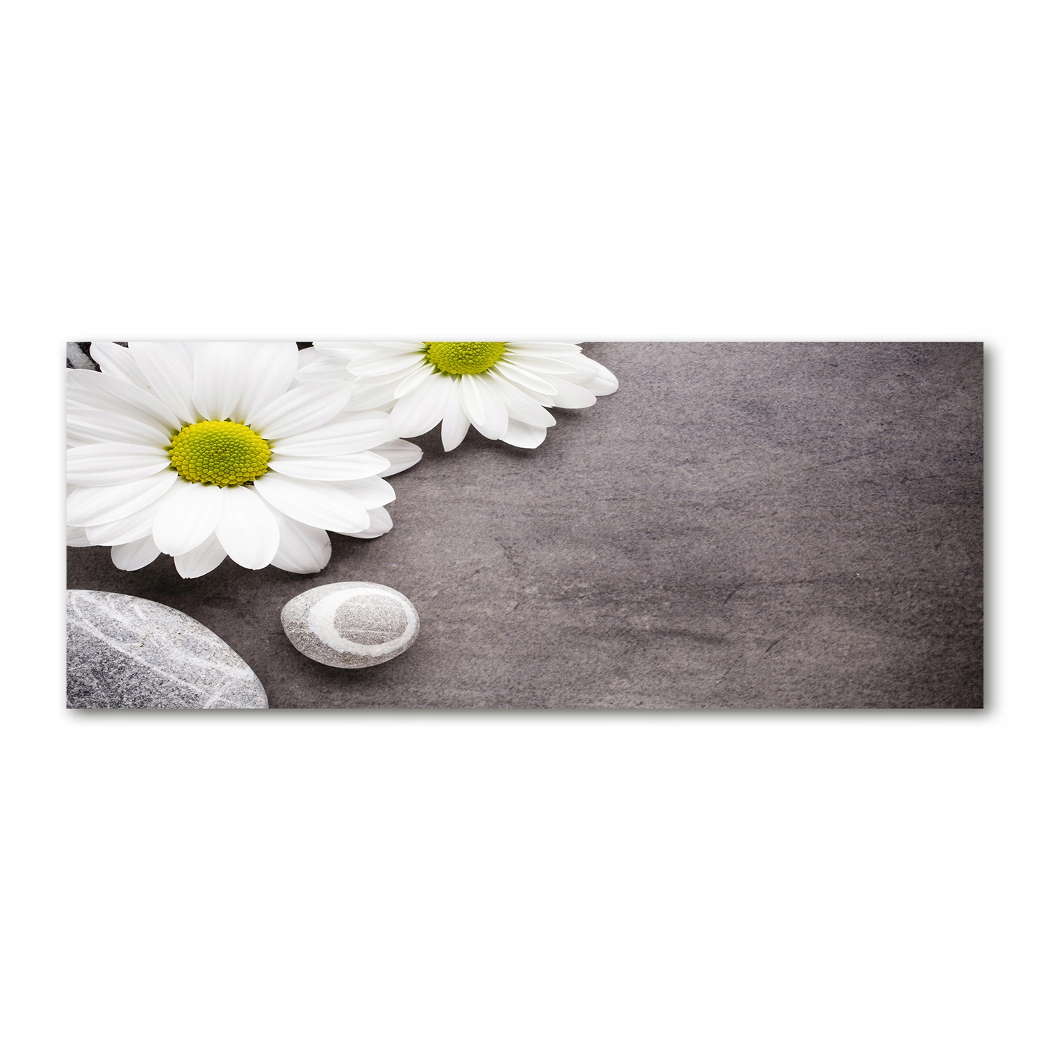 

Foto obraz duży akryl nowoczesny Gerbera 125x50cm