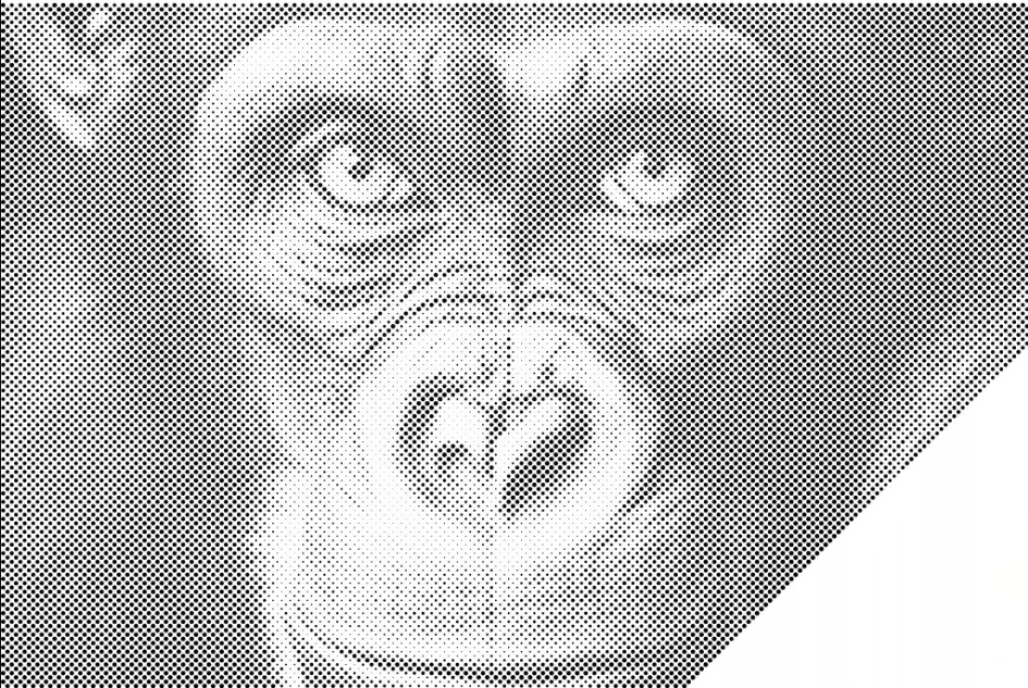 Tečkování Dotting Painting Šimpanz Zvíře Divoká opice Velký 80x120cm