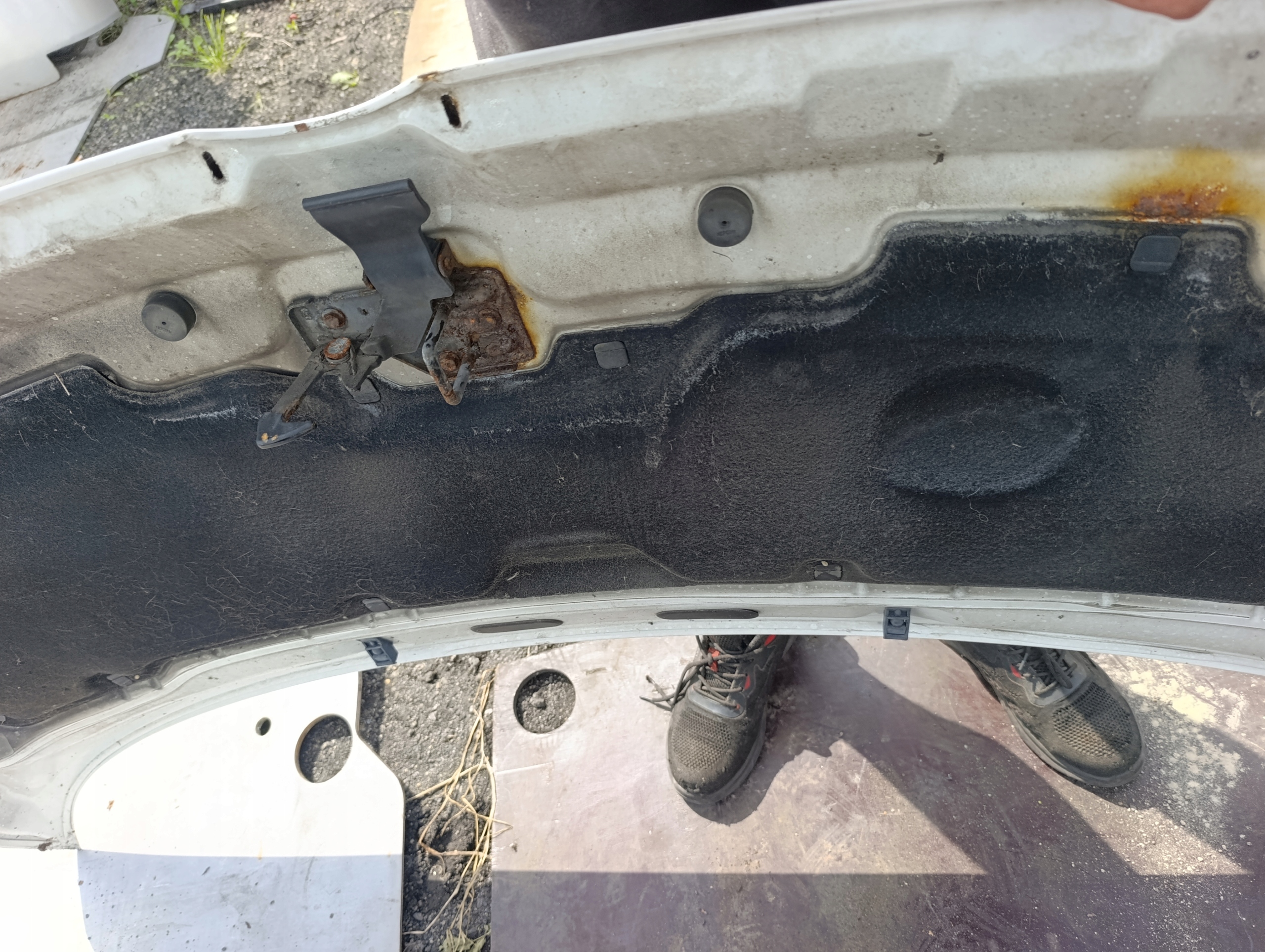 VW T5 bonnet biala