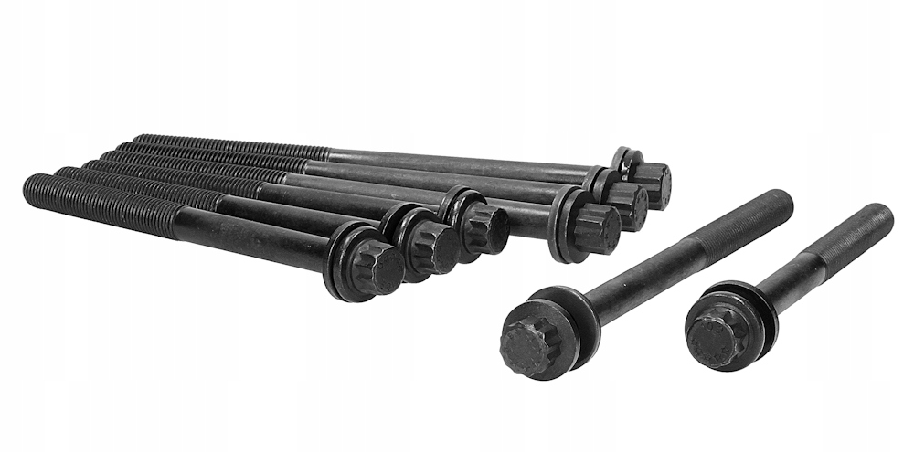 81050900 - Болты головки для RENAULT VEL SATIS 06-