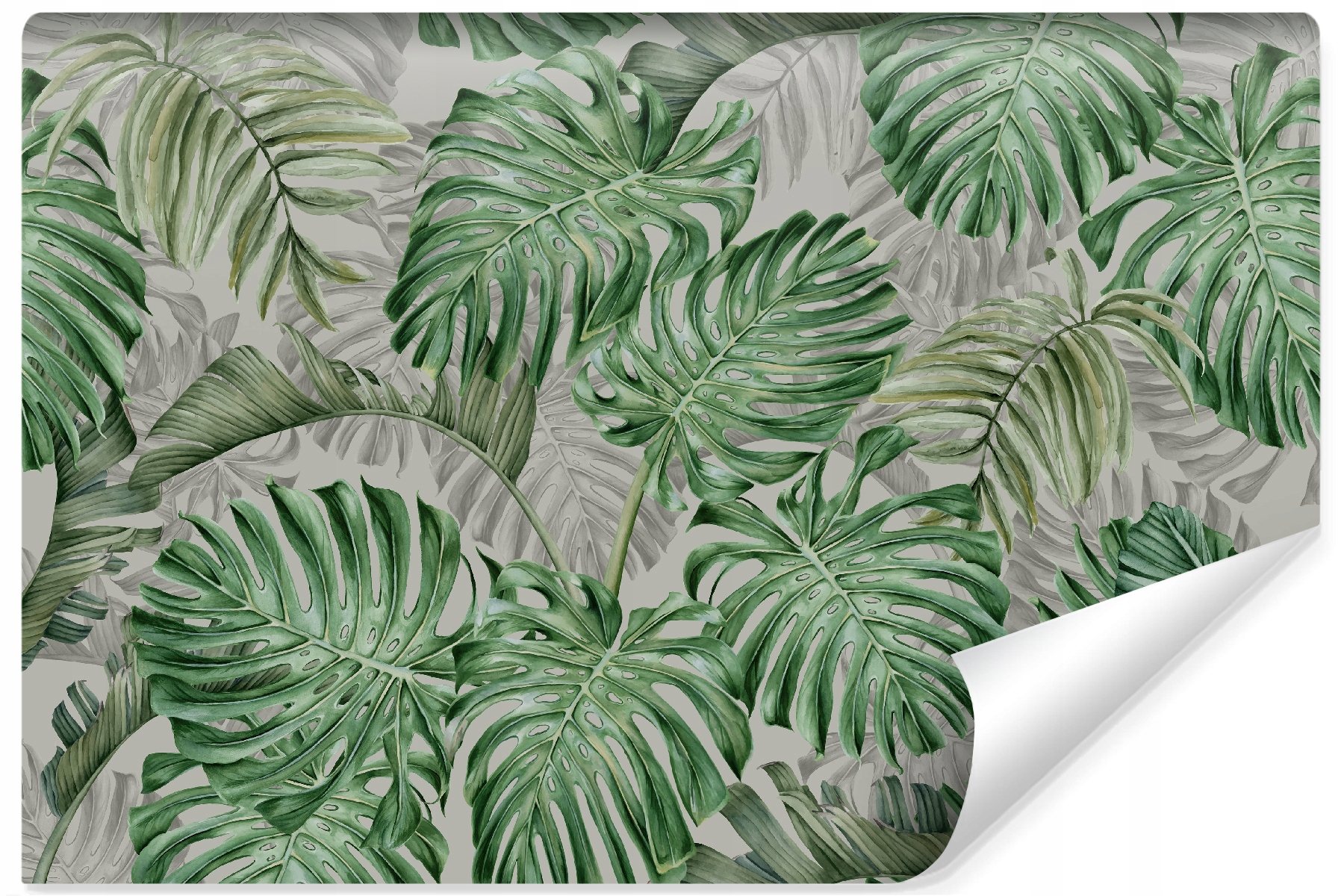Fototapeta do obývacího pokoje Monstera Listy 3D 315x210