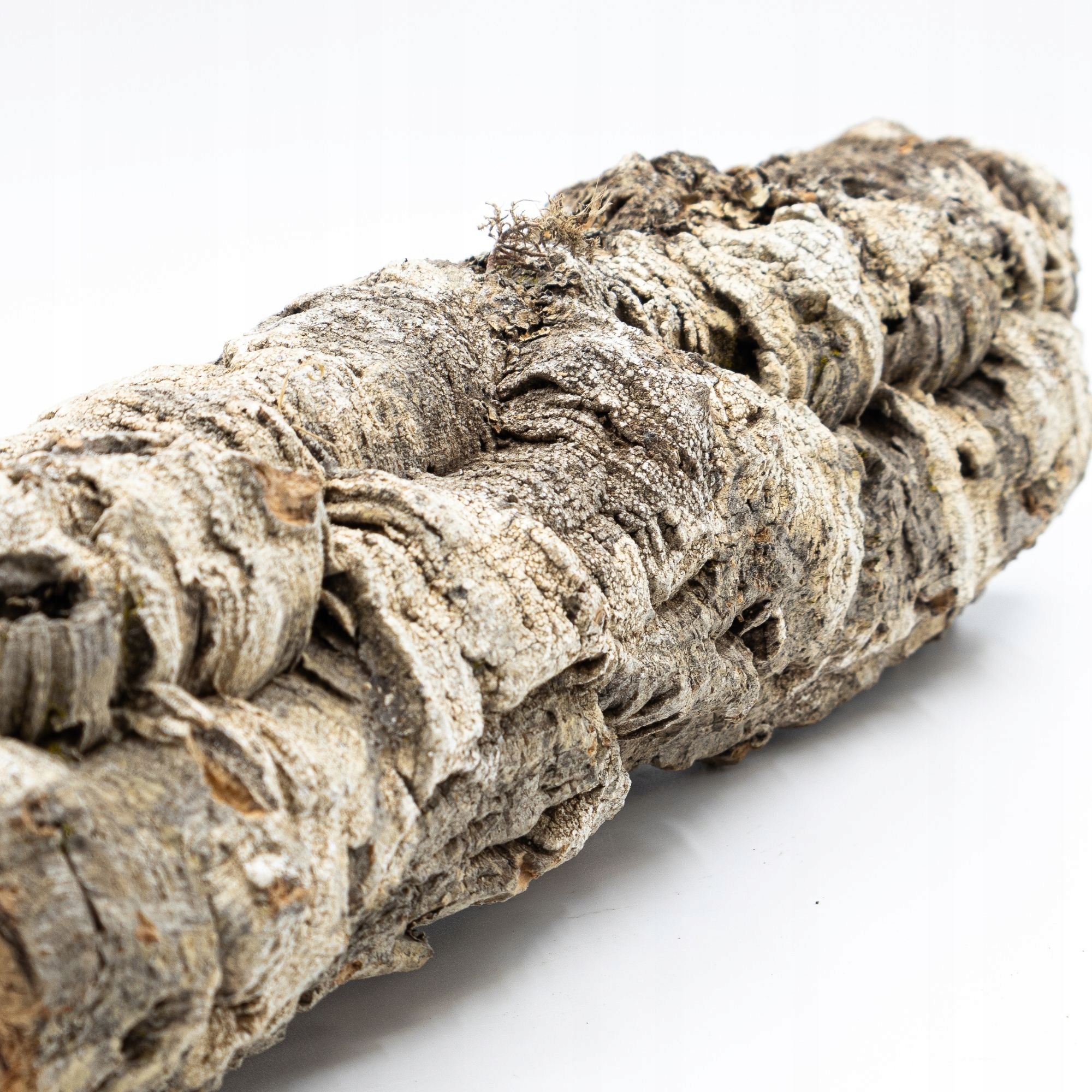 Velká korková větev z portugalského korkového dubu (XL 1,9-2,5 kg)