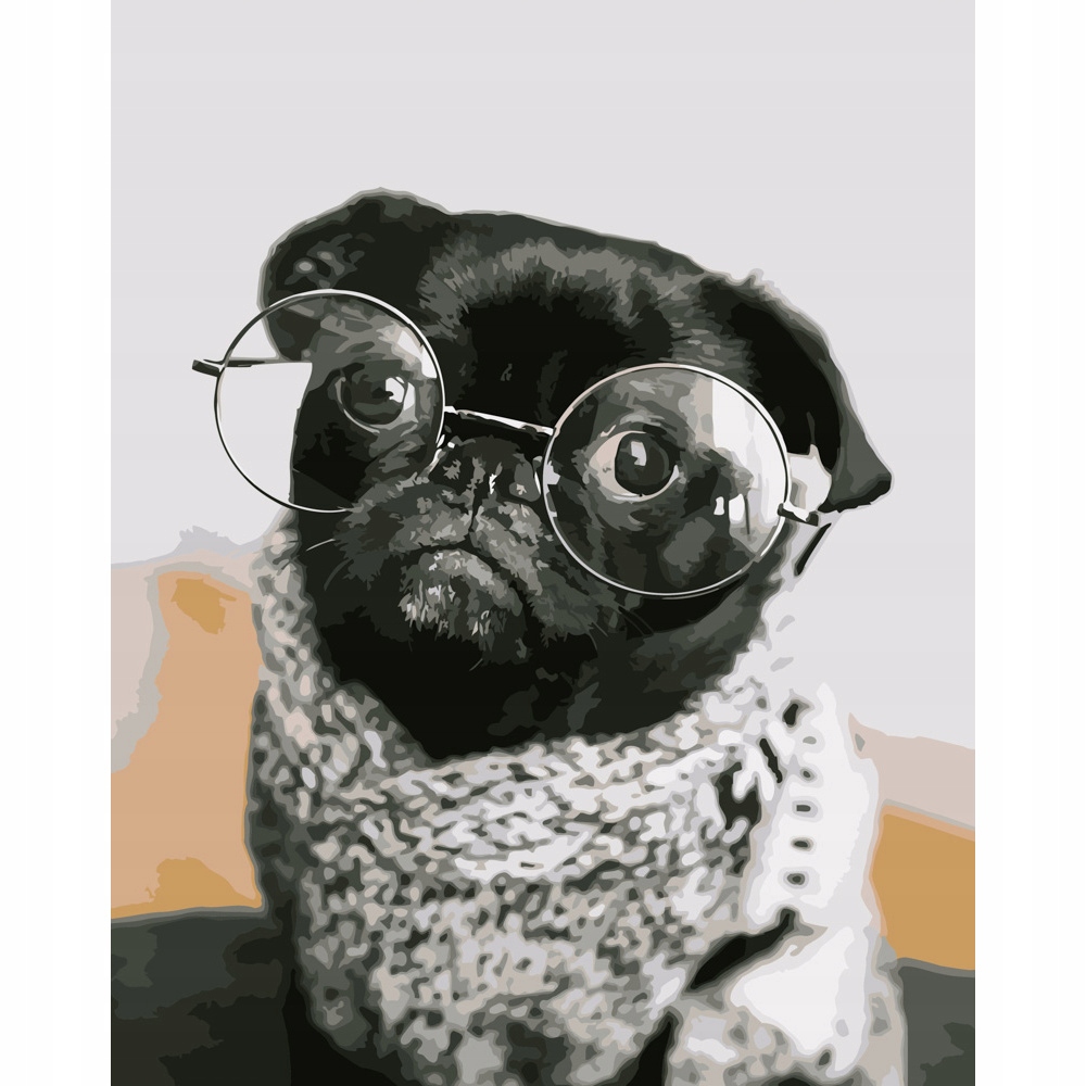 Malování Podle Čísel Legrační pejsek Mops v brýlích 40x50 dárek