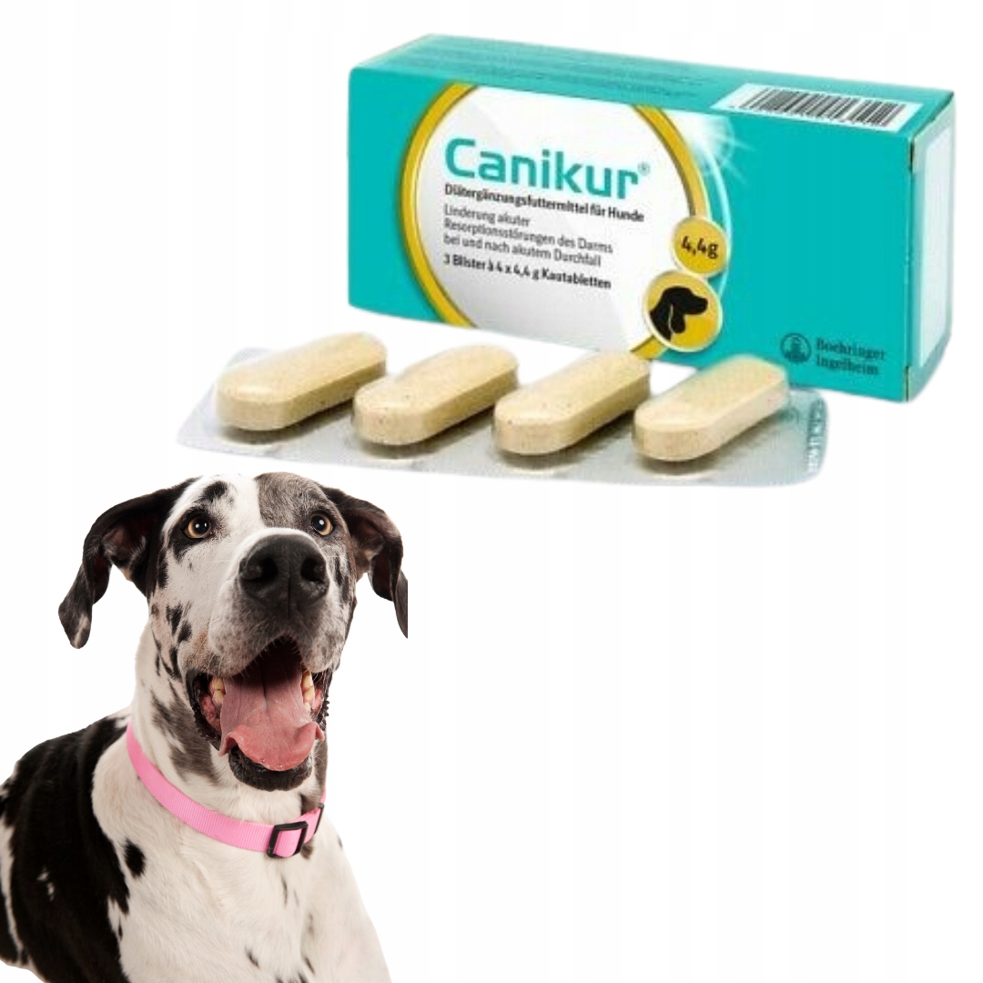 Levně Canikur – 12 Žvýkací tablety pro psy Na Průjem Žaludeční Potíže