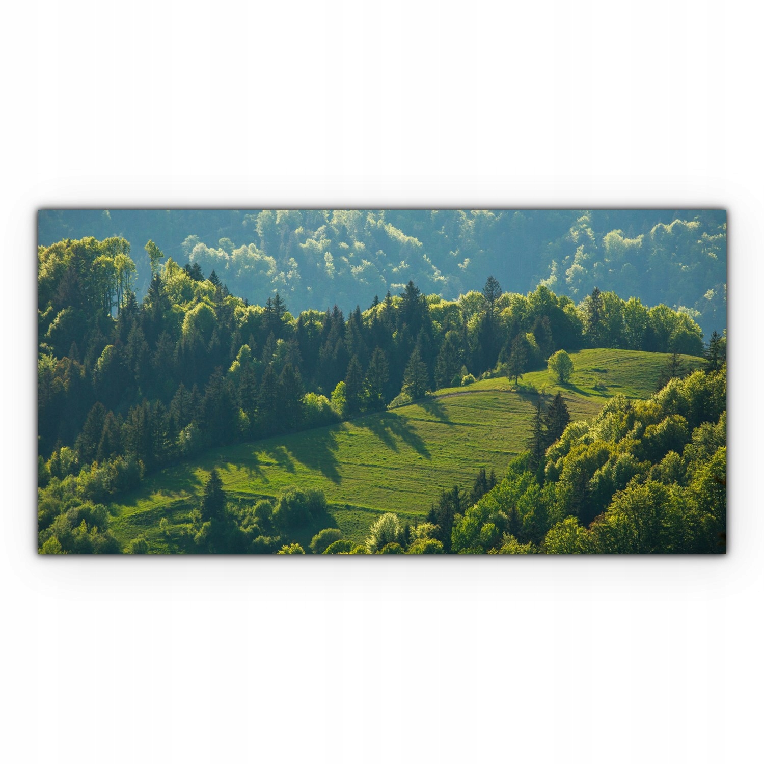 

Obraz canvas na ścianę 100x50 Krajobraz Pole Wieś