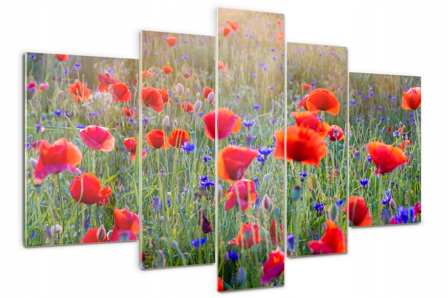 

Foto Obraz szklany duży tryptyk Polne kwiaty