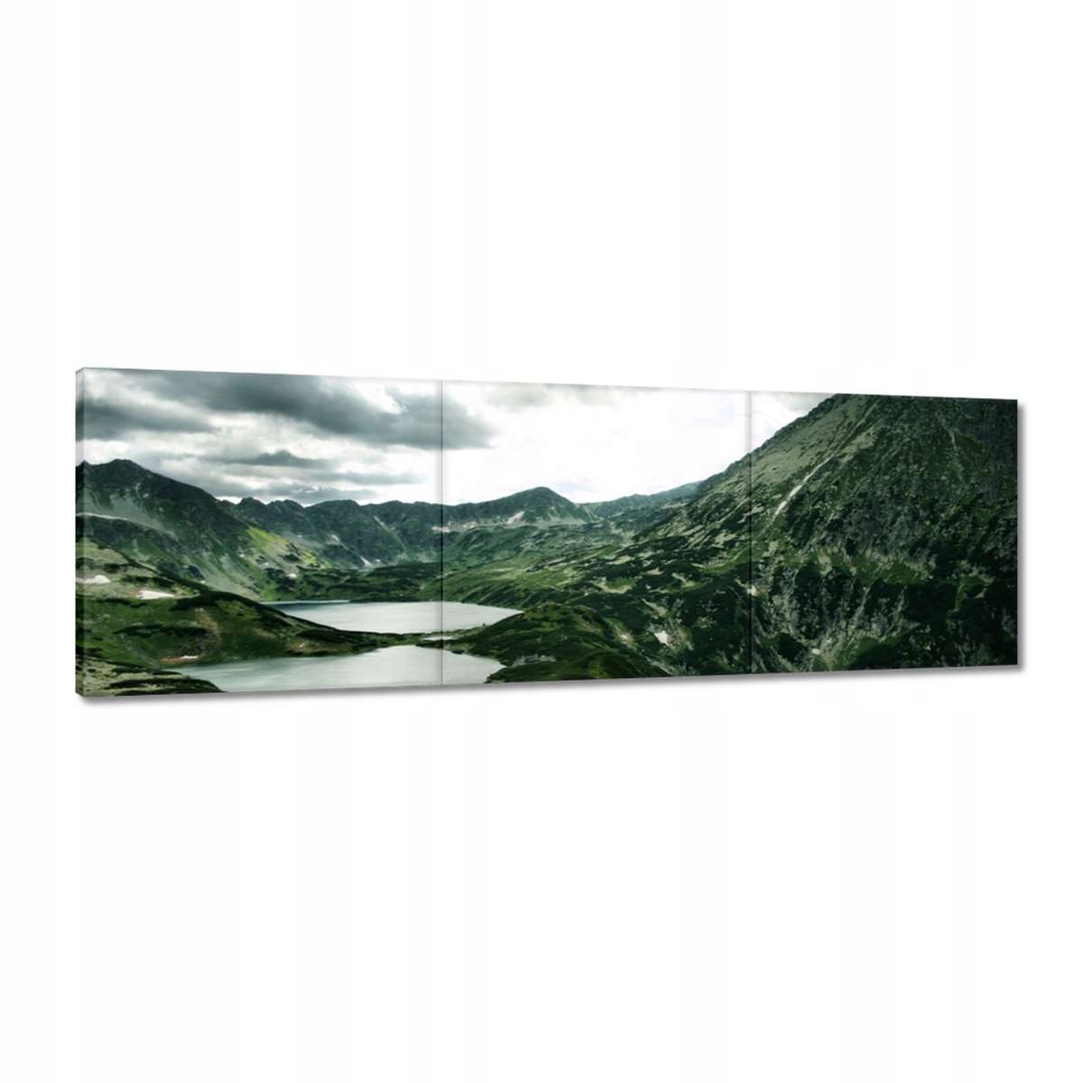 Obrazy 150x50 Tatry Polské hory Pohled