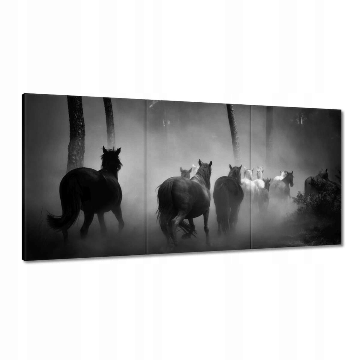 Obrazy 180x90 Stádo divokých koní Kone
