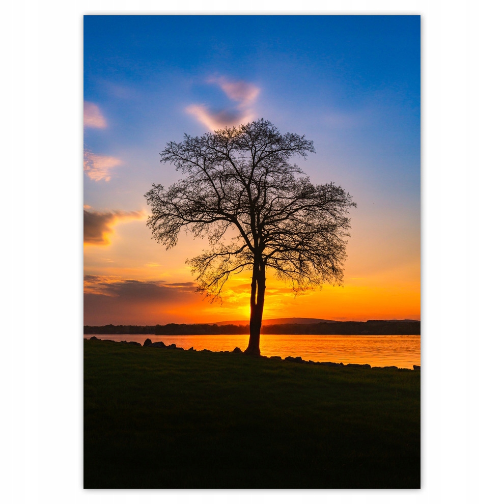 

Naklejki 50x70 Drzewo Zachód Słońca