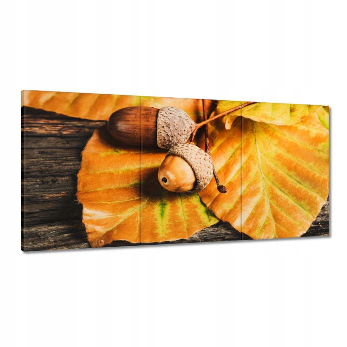 Obrazy 180x90 Žalude na listoch