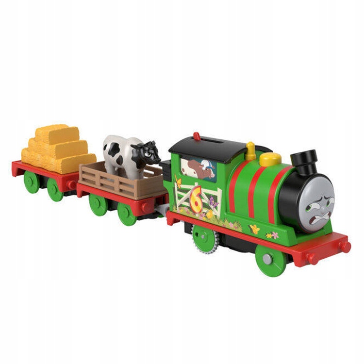 

Tomek Motorized kolejka Piotruś z wagonikami HHN49