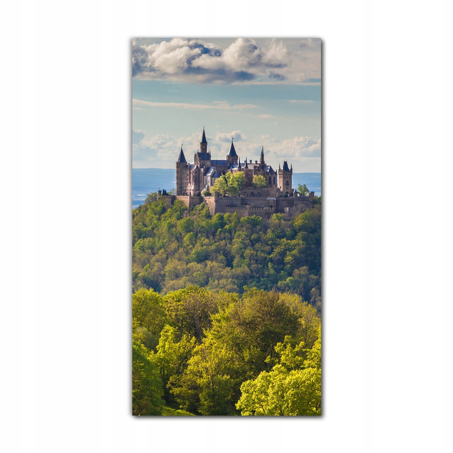 

Foto szklane na ścianę 60x120 Zamek Hohenzollern