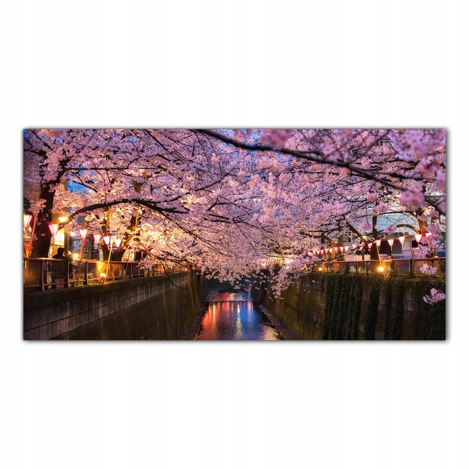 Višeň Japonsko Květiny 120x60 Tvrzené sklo panel