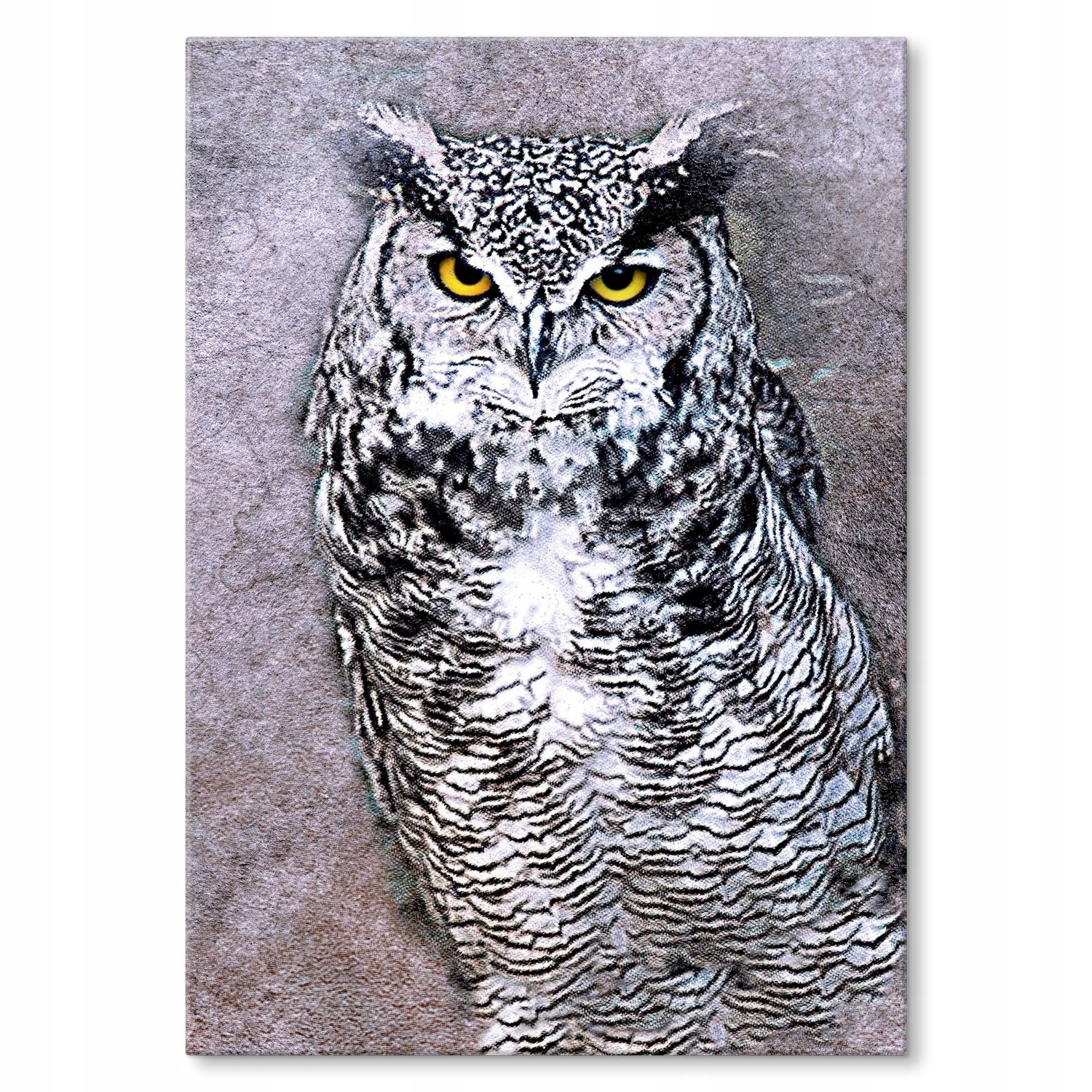 Kovový plakát Sova M