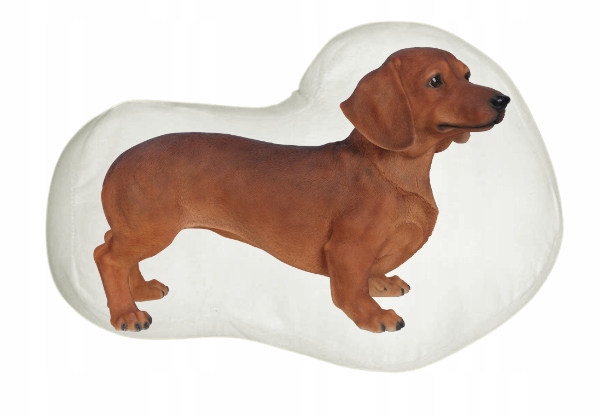 PODUSZKA KSZTAŁTKA PIES JAMNIK