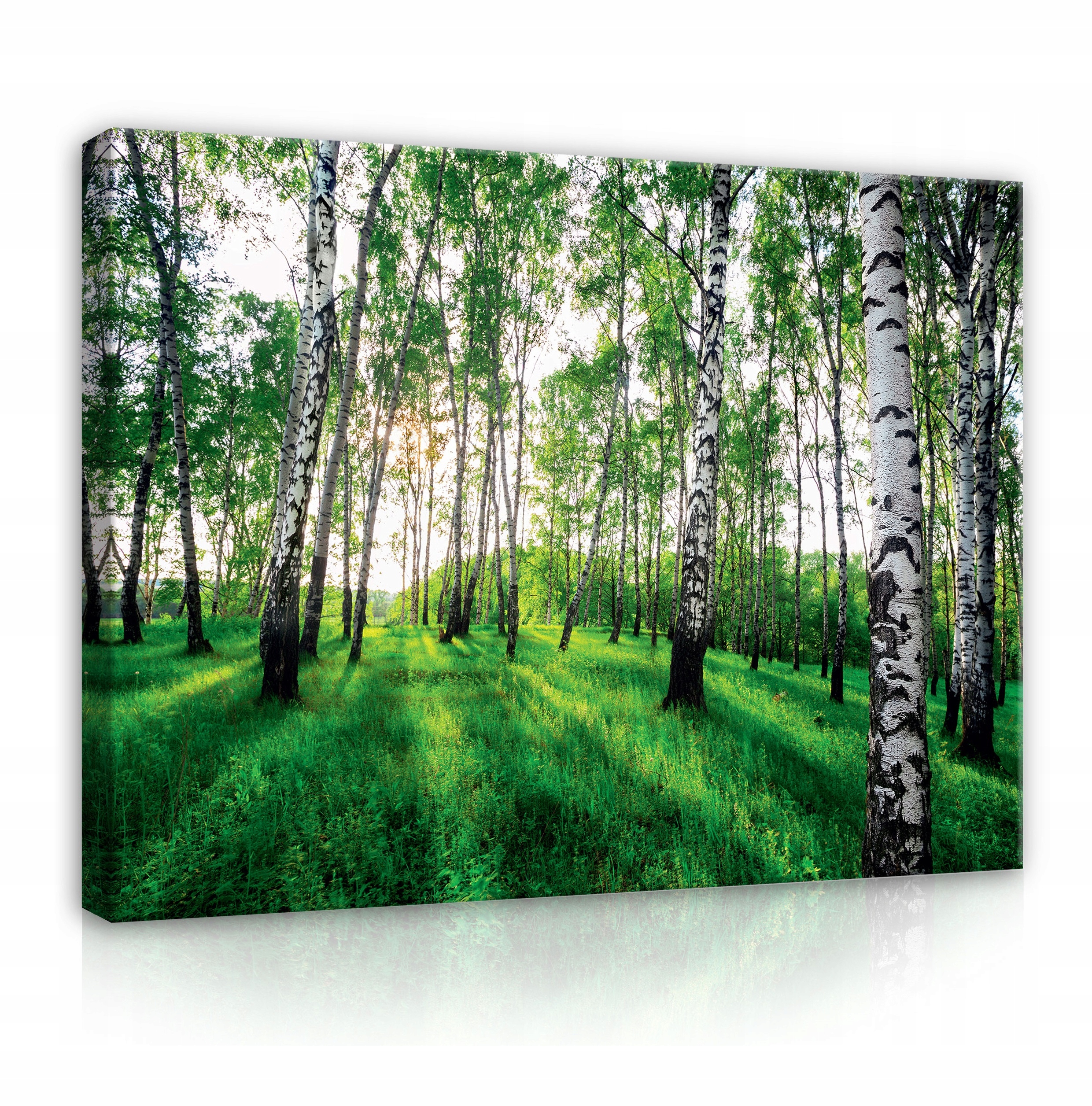 

Obraz Na Ścianę Do Sypialni XXL Las Natura 120x80