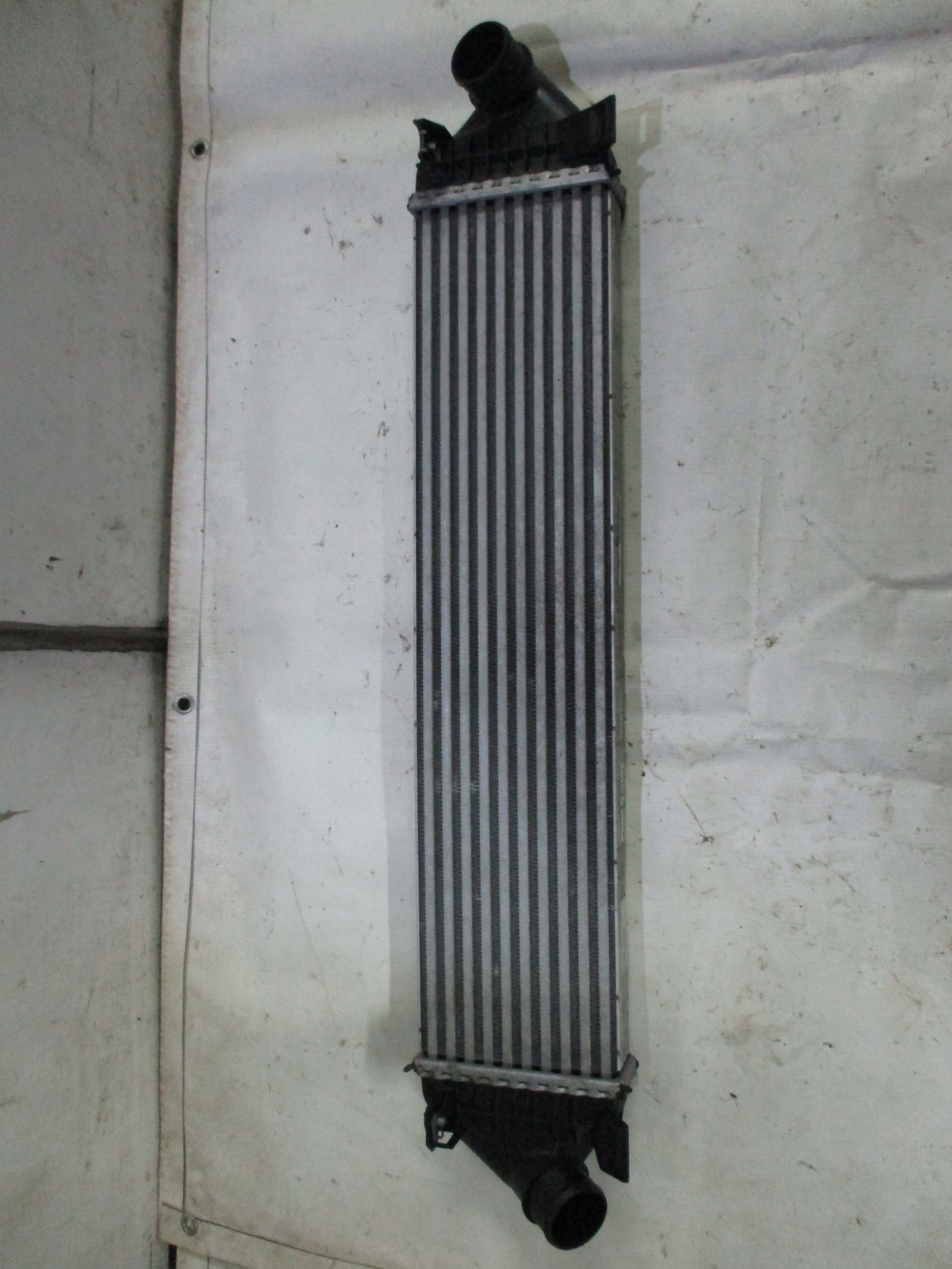 Kühler intercooler Ford C-MAX Focus MK3 8V61-9L440-AC