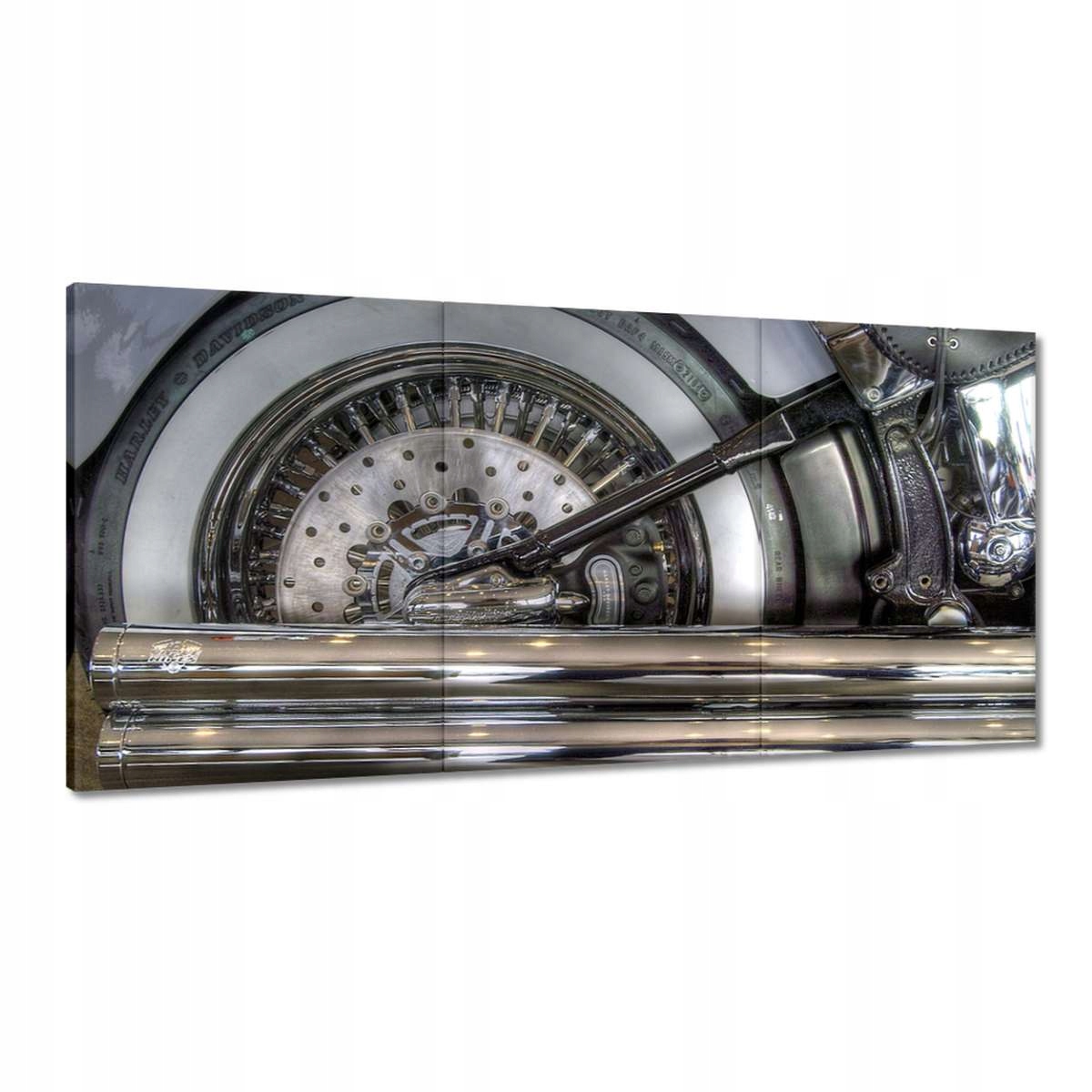 Obrazy 180x90 Harley Davidson Motocykel