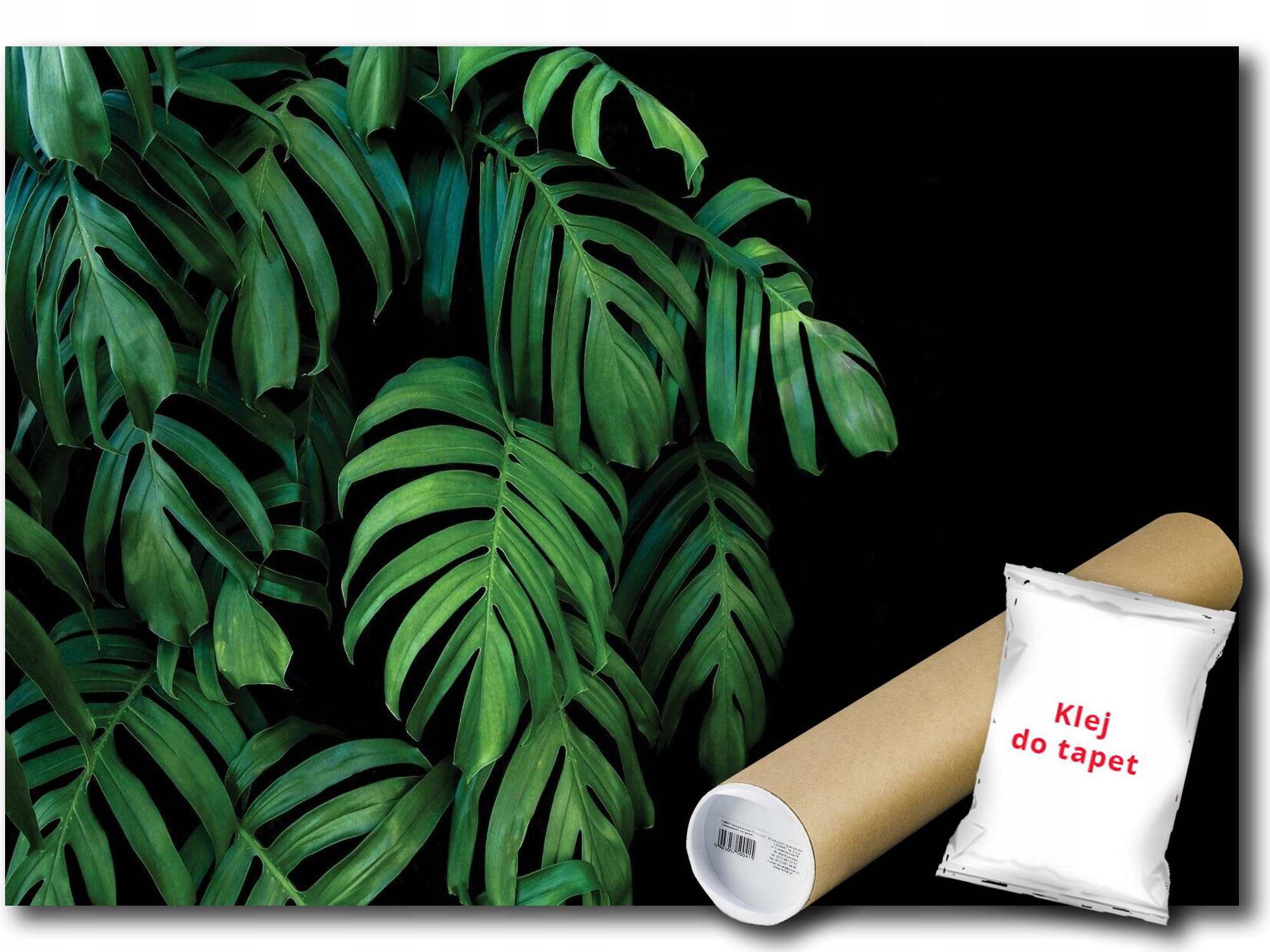 Vinylová Fototapeta Listy Monstera 416x290