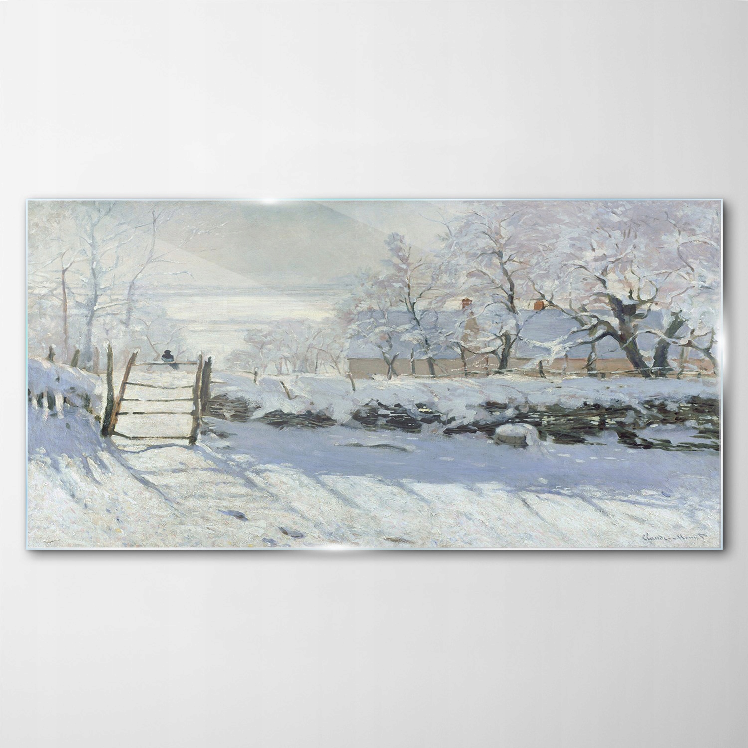 

Obraz z nadrukiem szklany Sroka Monet 100x50 cm