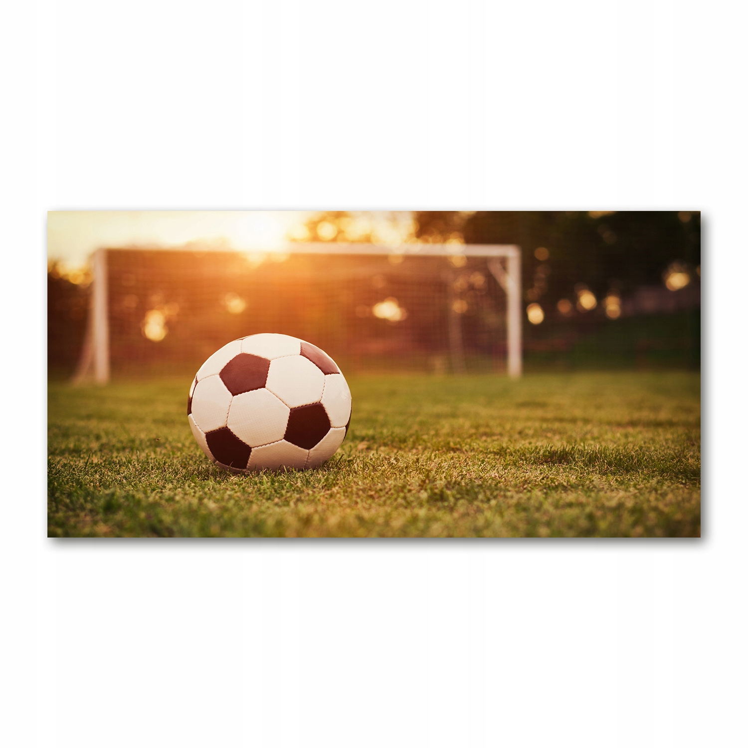

Foto obraz szkło akryl Piłka na murawie 120X60 cm