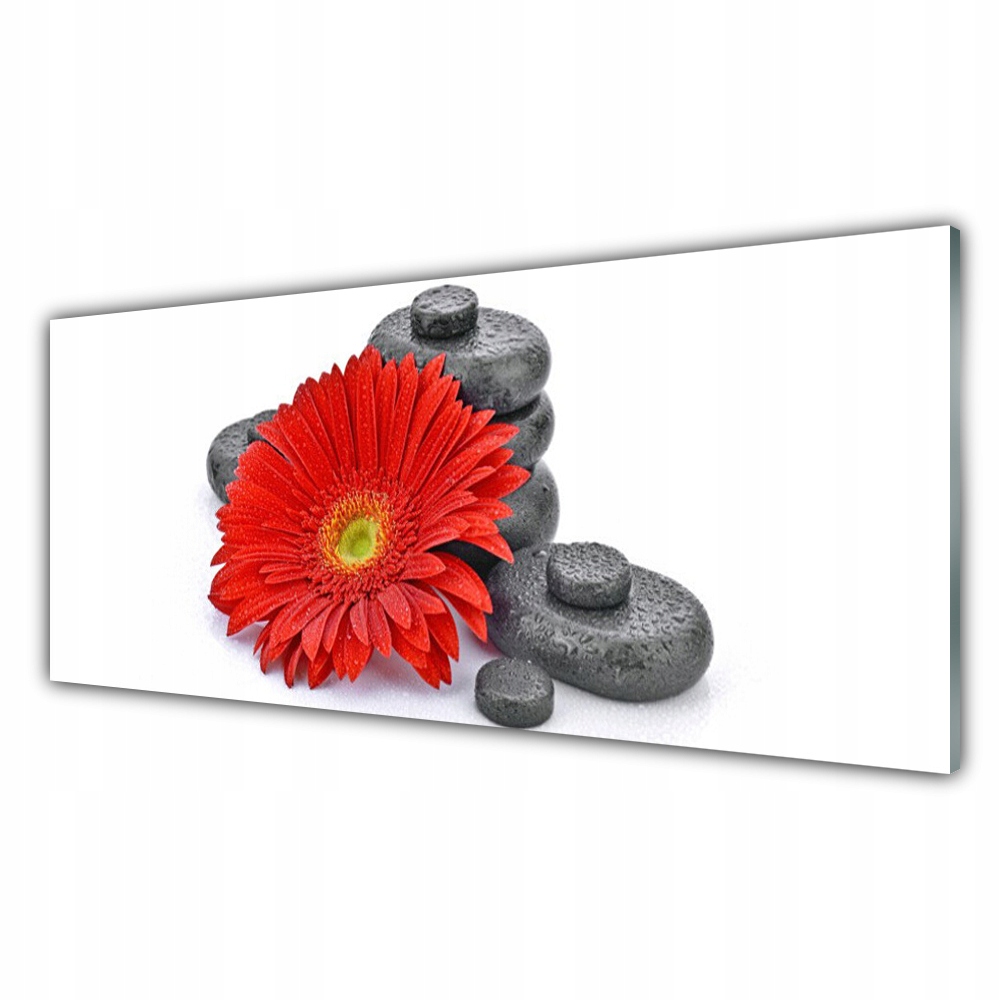 

Obraz akryl wiszący 125x50 Kwiaty Czerwona Gerbera