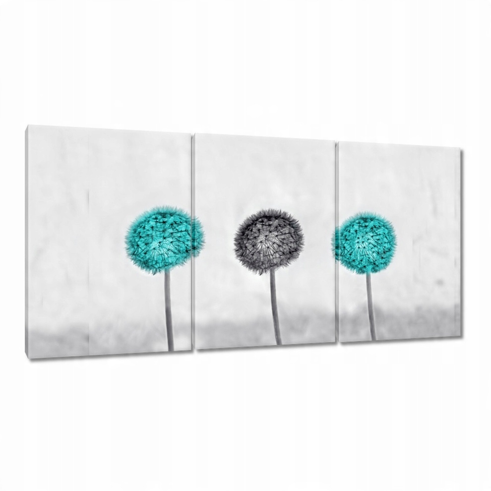 

Obrazy 120x60 Turkusowe dmuchawce