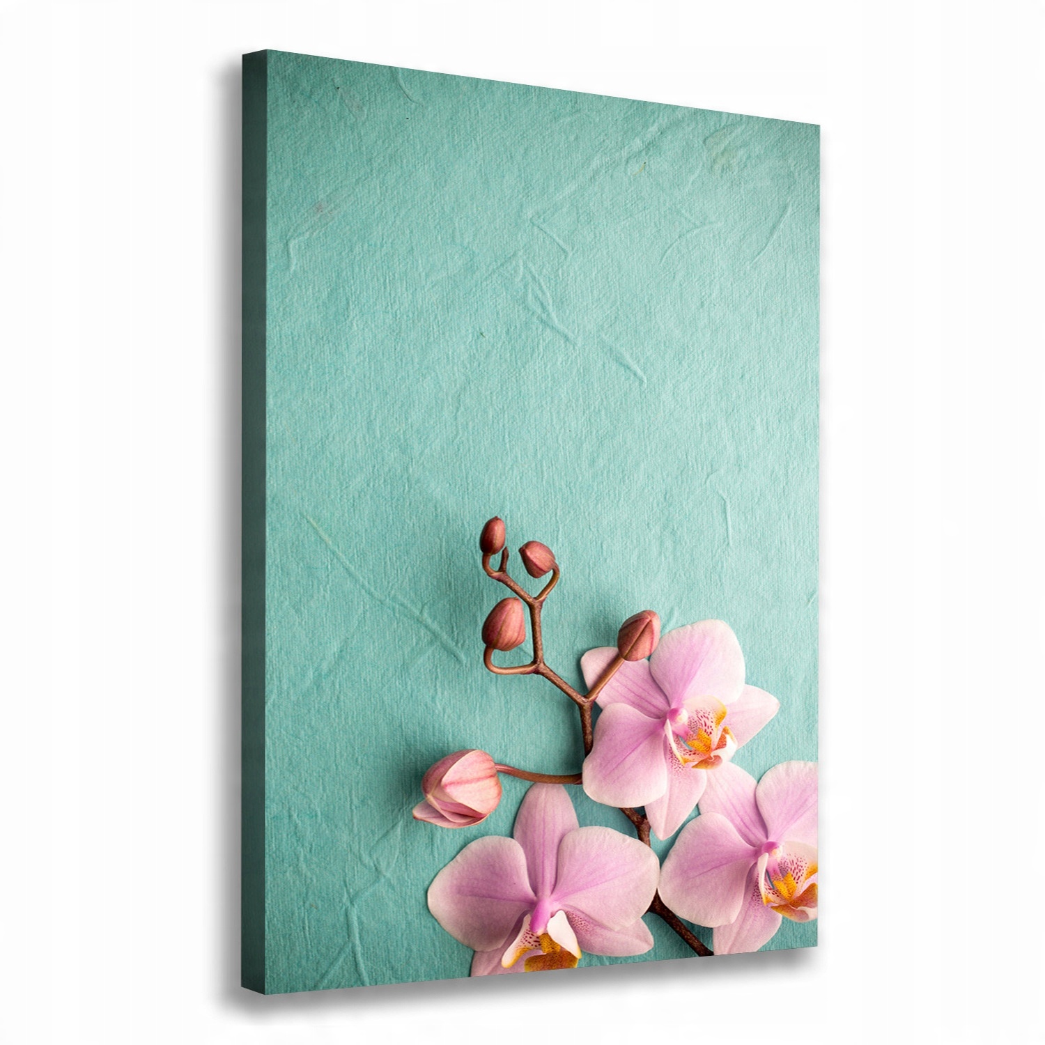 

Foto obraz na płótnie Różowa orchidea 70x100 cm