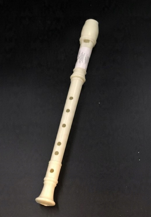 

Flet Prosty Instrument Do Nauki Szkolny Plastikowy
