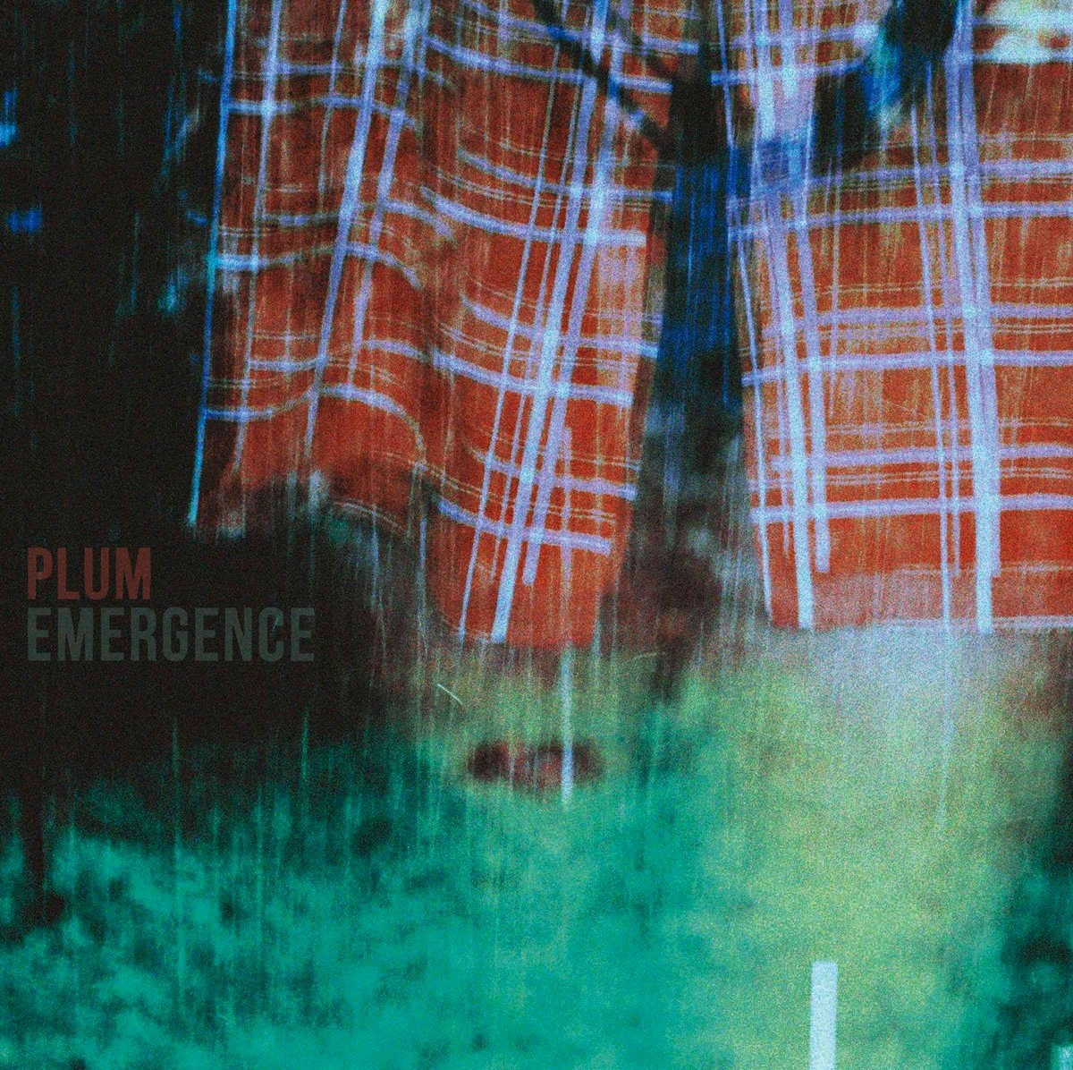 CD Plum Emergence