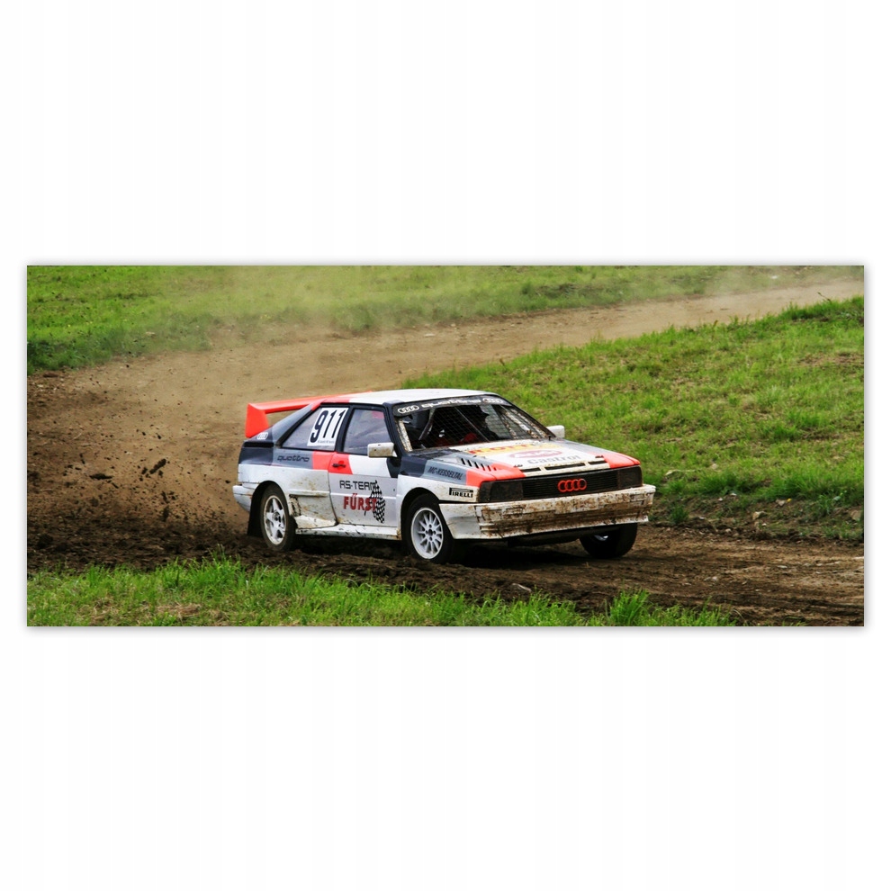 

Fototapety flizelina 211x91 Audi Quattro w terenie