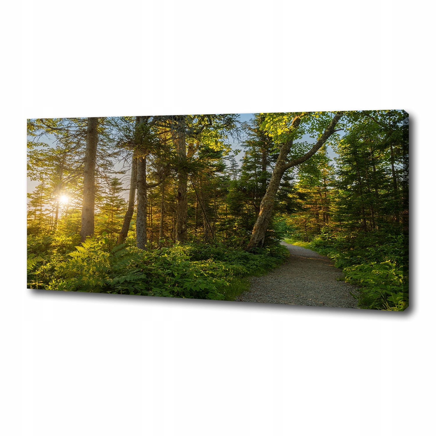 

Obraz zdjęcie na płótnie nowoczesny Las 125x50 cm