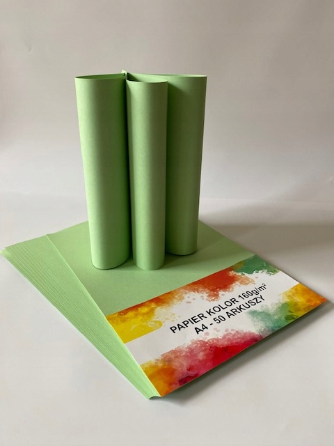 

Papier Ksero Pistacjowy A4 160g