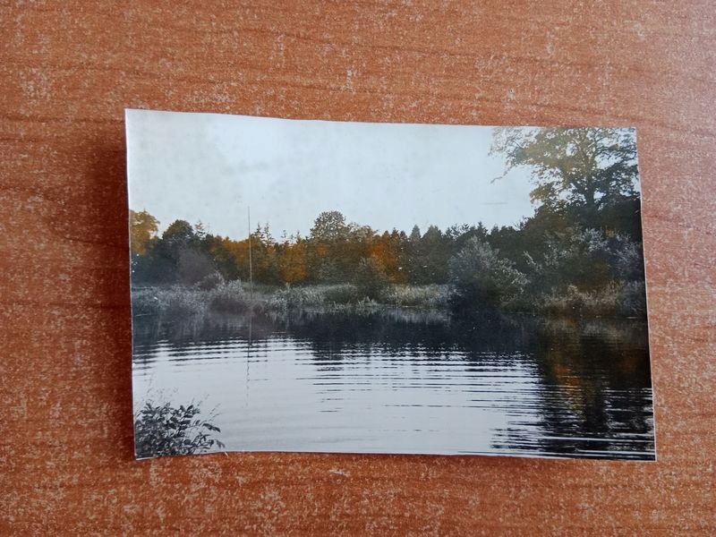 KRASICZYN PARK STAW 3031 X