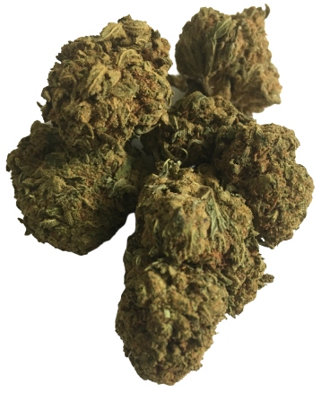 

Susz konopny White Widow Cbd do 27% Marihuana 5G