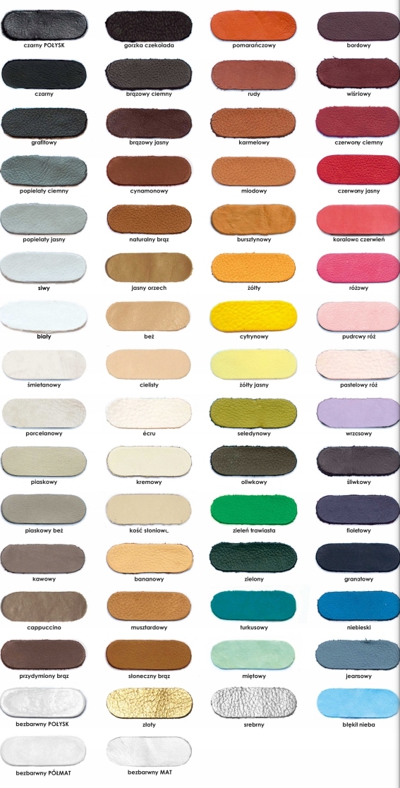 RENOSKÓR farba do skór licowych ZŁOTY 25ml EAN (GTIN) 5902198610496