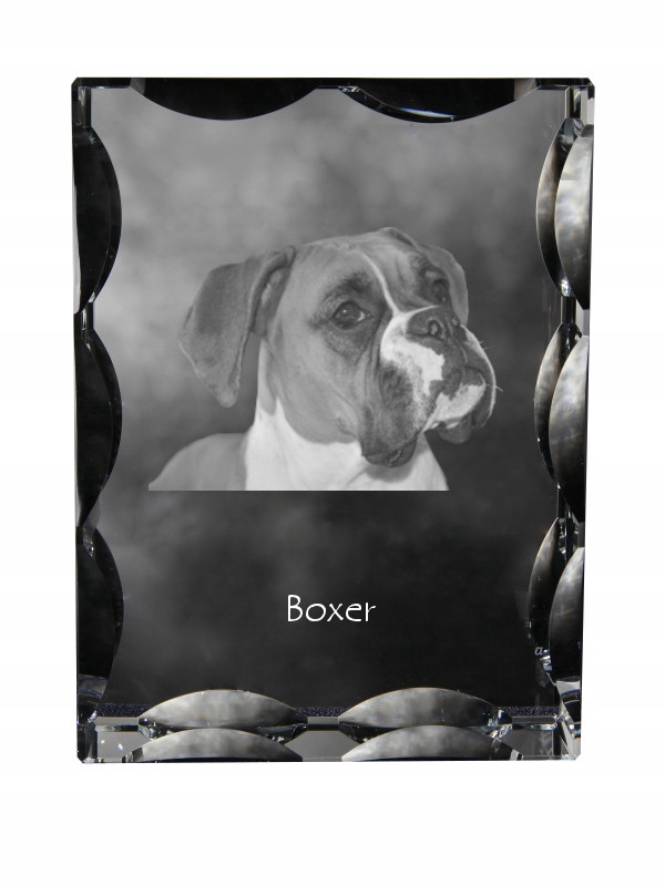 Boxer fotografia psa v ozdobnom kryštáli, suvenír, dekorácia domu