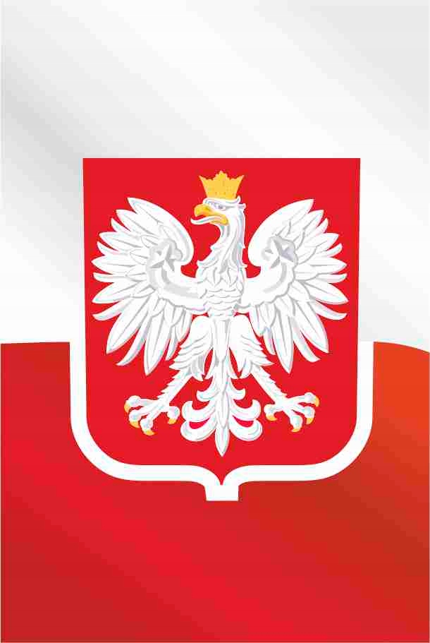 Naklejka Flaga orzeł, polska na tablice 1/2 Adr